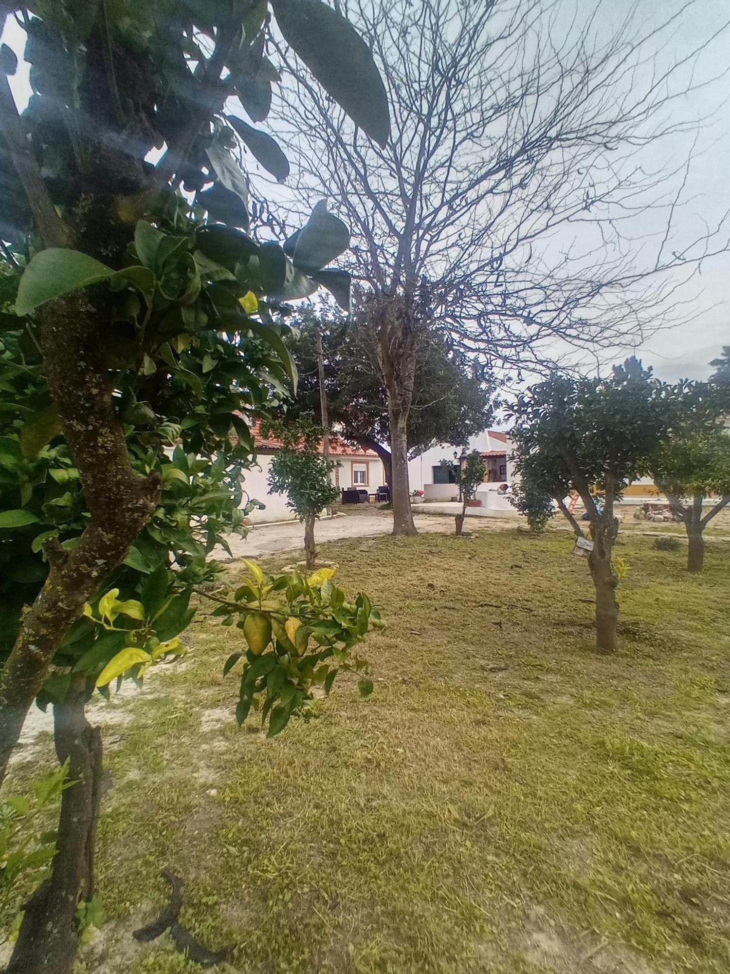 Villa O Mundo Da Lua Azeitão Exterior foto