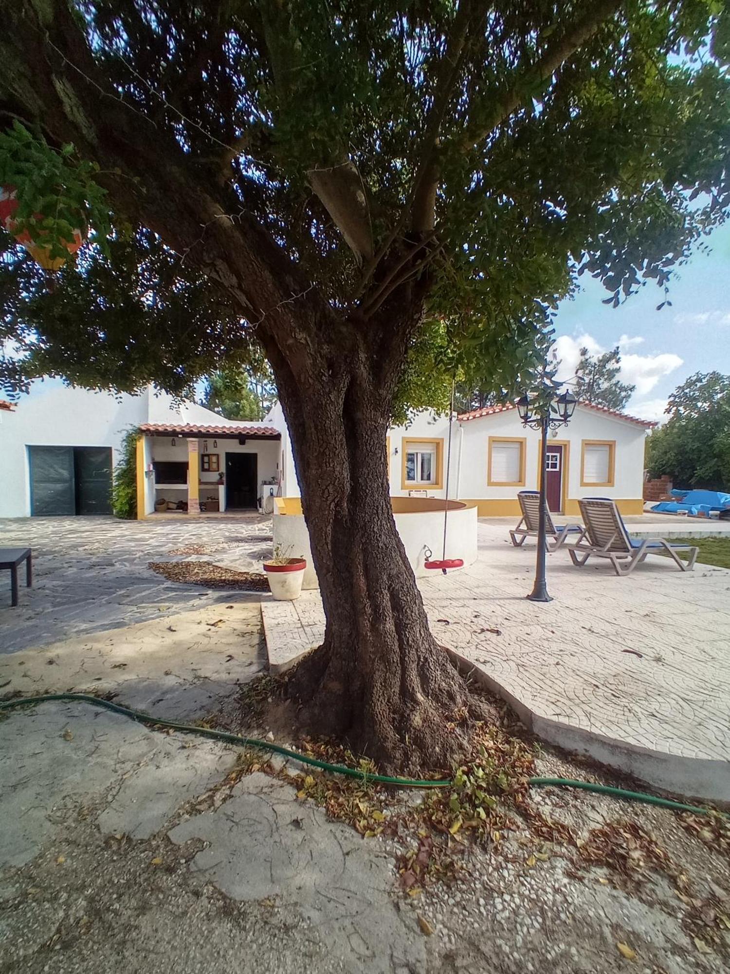 Villa O Mundo Da Lua Azeitão Exterior foto